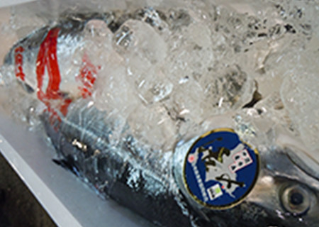 有限会社鮮魚明治十六年　取扱商品